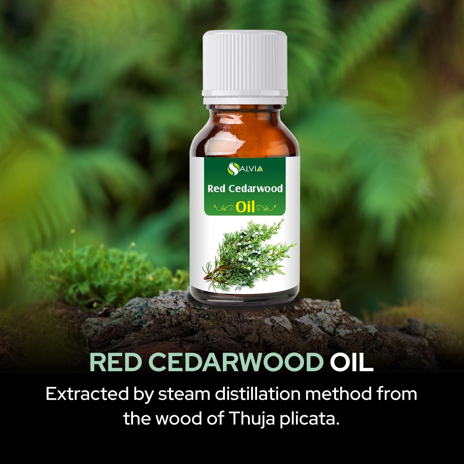 Salvia Natural Essential Oils,Dandruff,Greasy Oil,Anti Fungal,Anti-fungal Oil,Oil for Greasy Hair Red Cedar Wood Oil Salvia Natural Essential Oils,Dandruff,Greasy Oil,Anti Fungal,Anti-fungal Oil,Oil for Greasy Hair Red Cedar Wood Oil
